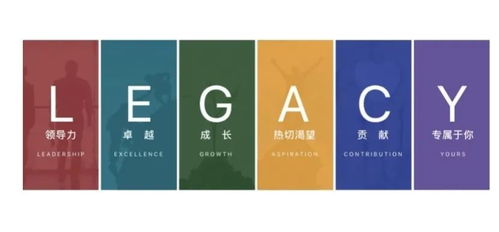 精英教育的代价 32岁女高管培训课猝死与企业标语的警示