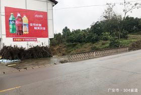 大宇广告 墙体广告制作助力企业开拓雅安农村市场